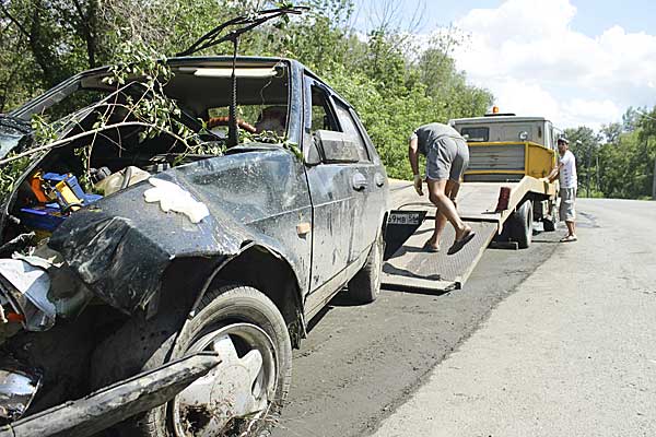 На пути встало дерево
