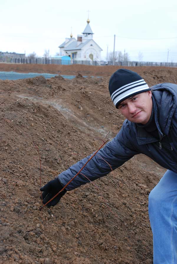 В списках не значится. Погибшие деревца упорно не замечают
