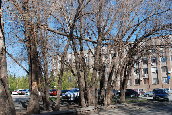 «С» упала, «т» пропала... «П» кому по голове?