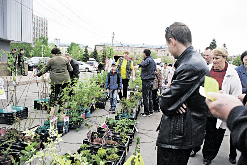 И для сада, и для стола нашлись покупки на ярмарке. На Комсомольской продавали саженцы и белорусские товары
