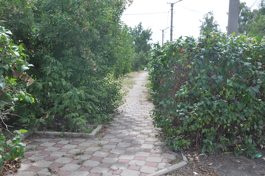 Парку нужны не только косари