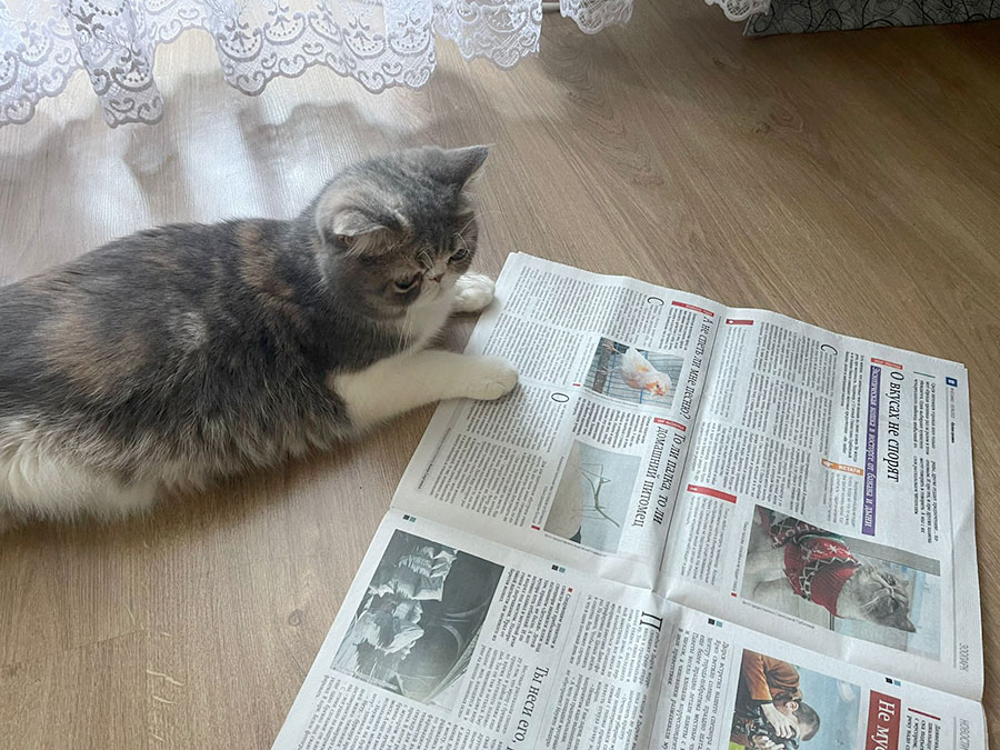 Любовь к пакетам передается по наследству