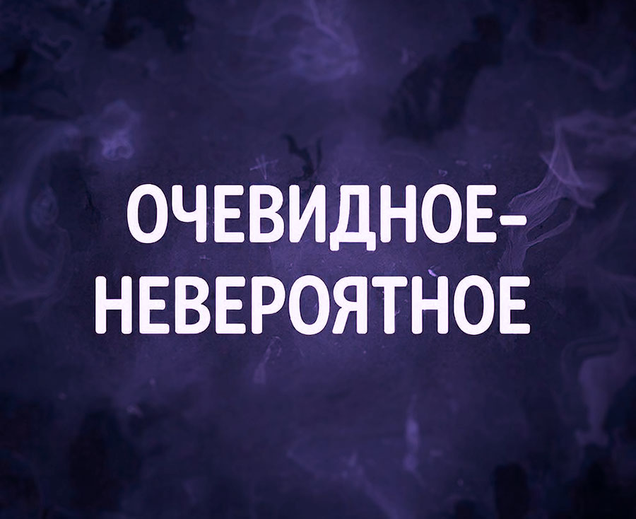 Невыдуманные истории