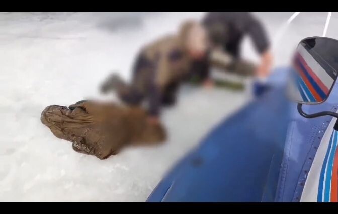 На воздушной подушке к спасению: рыбаков сняли с тонкого льда на Ириклинском водохранилище