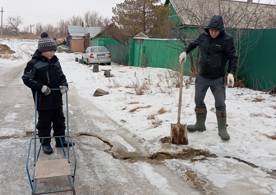 А вода и ныне там, или Почему в Казачьем трещат дома и засыхают полувековые деревья