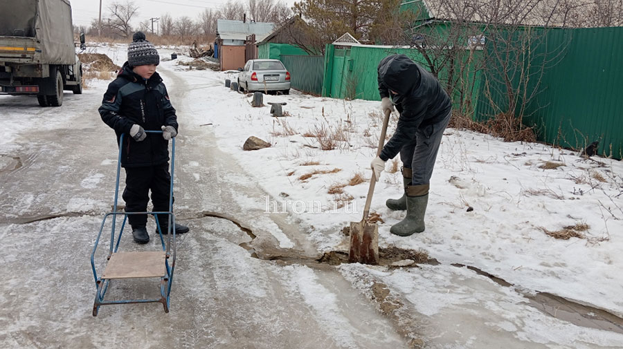 А вода и ныне там, или Почему в Казачьем трещат дома и засыхают полувековые деревья