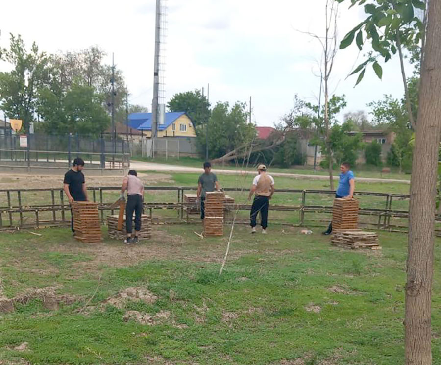 Парки возвращают к жизни