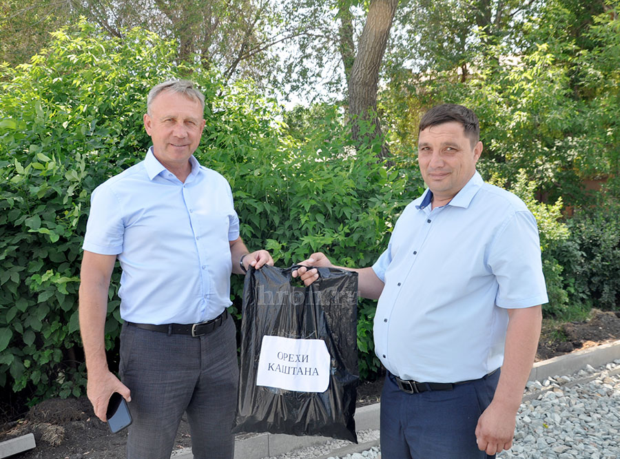 Деревьям дали зеленый свет. В Центральном парке намерены сохранить как можно больше растений