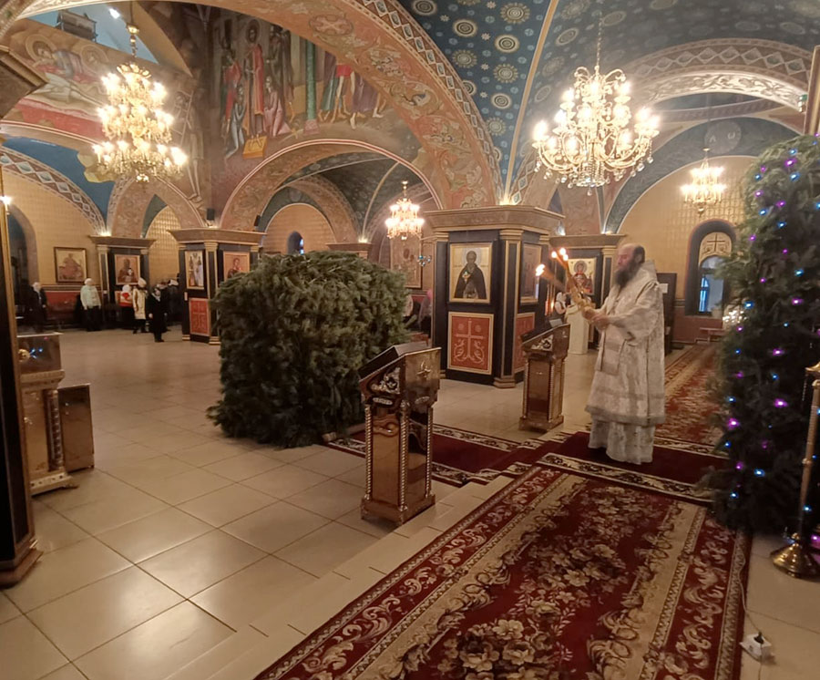 Куда смотрит Богородица? Владыка Ириней о смысле Рождества и тонкостях службы