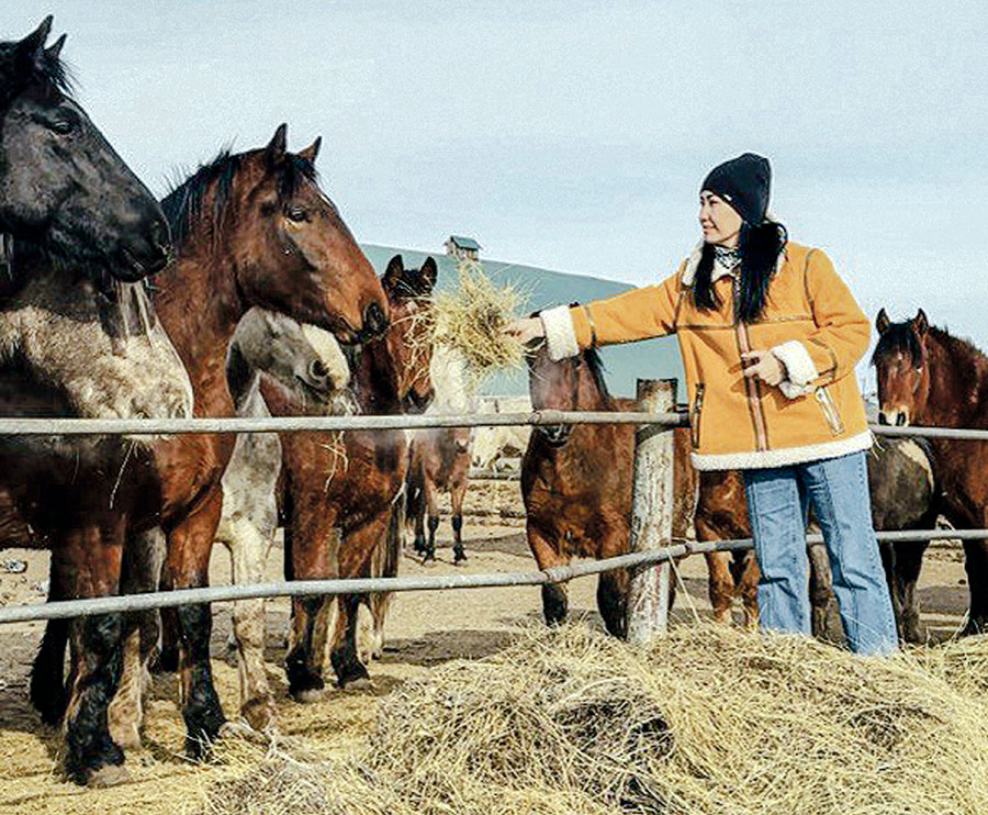 Всегда на коне. Как решать вопросы и развивать КФХ 