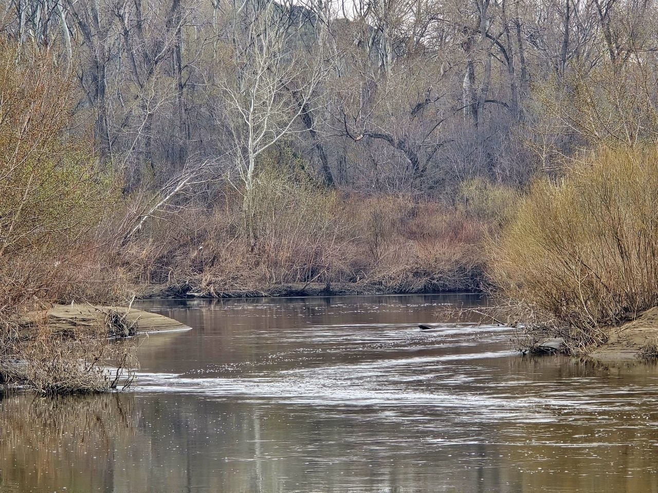 Паводок отступает: Сорочинское водохранилище уходит на летний график