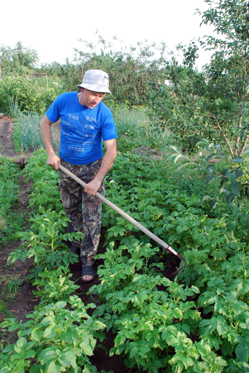 Работы на грядках в июле