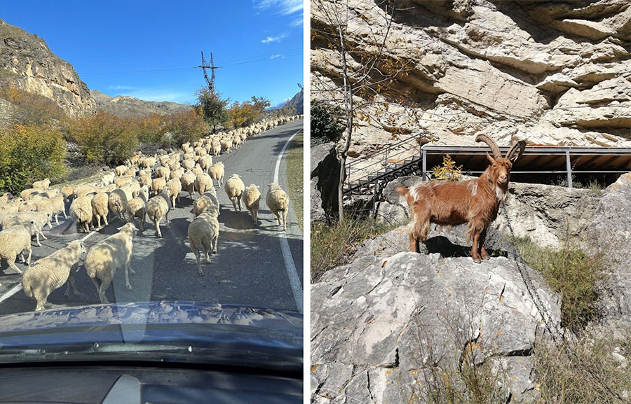 Дагестан: гостеприимный и завораживающий