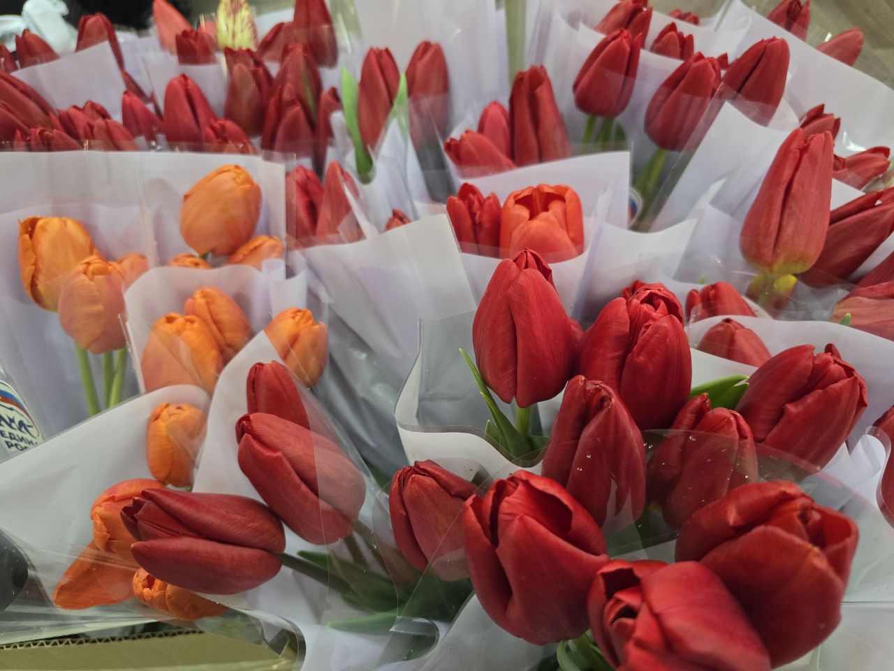 О чем на самом деле мечтают женщины 8 марта?