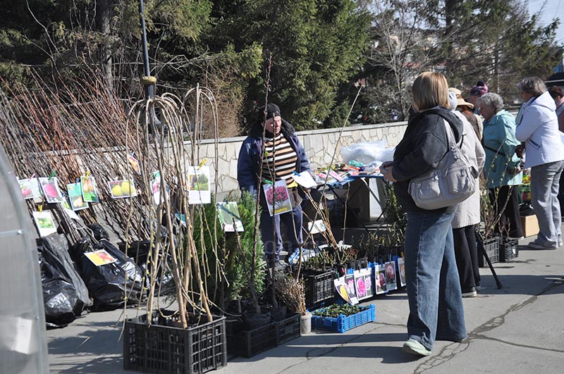 Если яйца – то из мыла