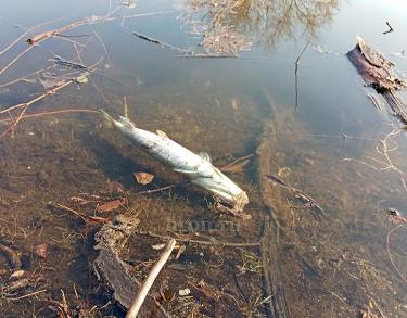 Под водой не надышишься