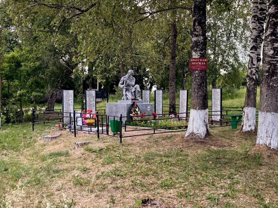 Ваш сын пал смертью храбрых...