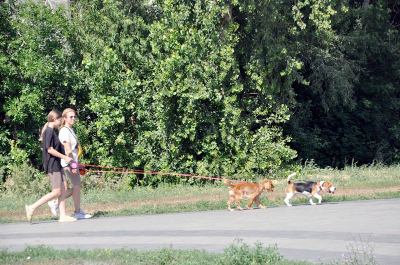 Более полувека без капремонта. В городе планируют обновить два старейших спорткомплекса