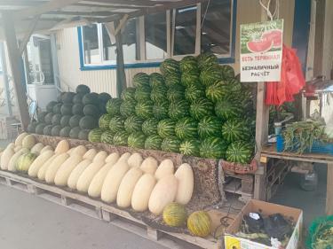 Полосатый сезон