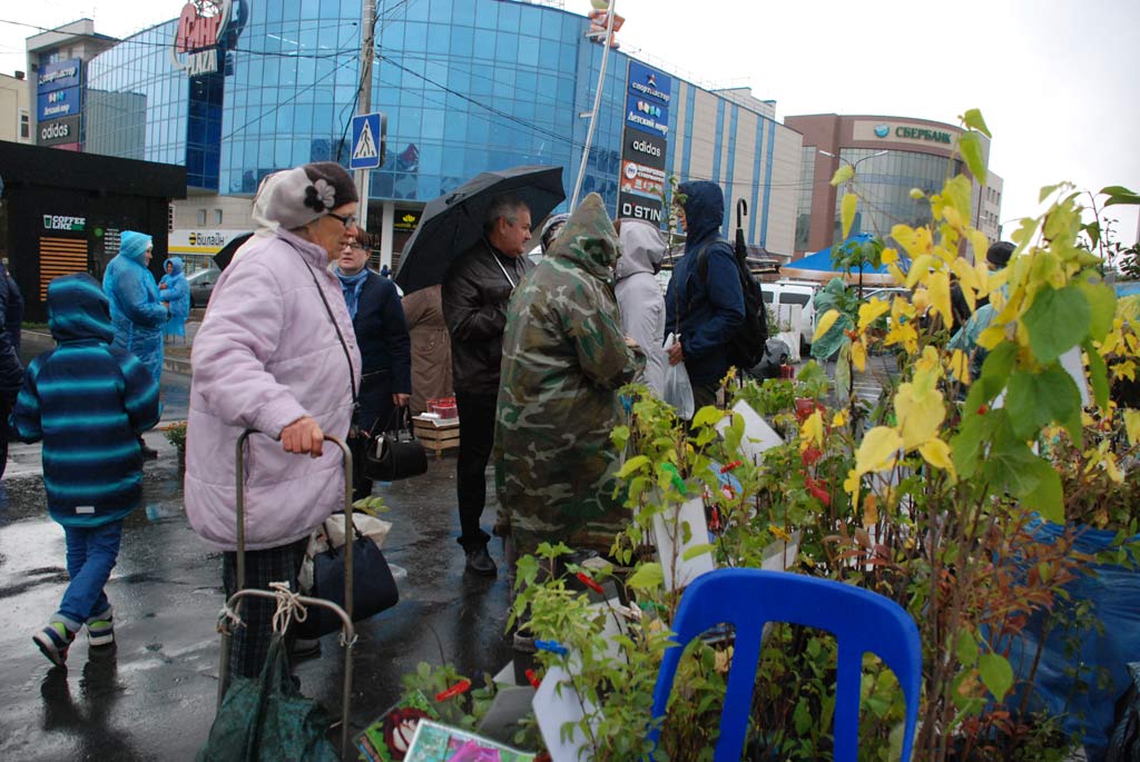 Под дождем и на ветру ярмарка гуляла. В центре города состоялась распродажа сельхозпродукции