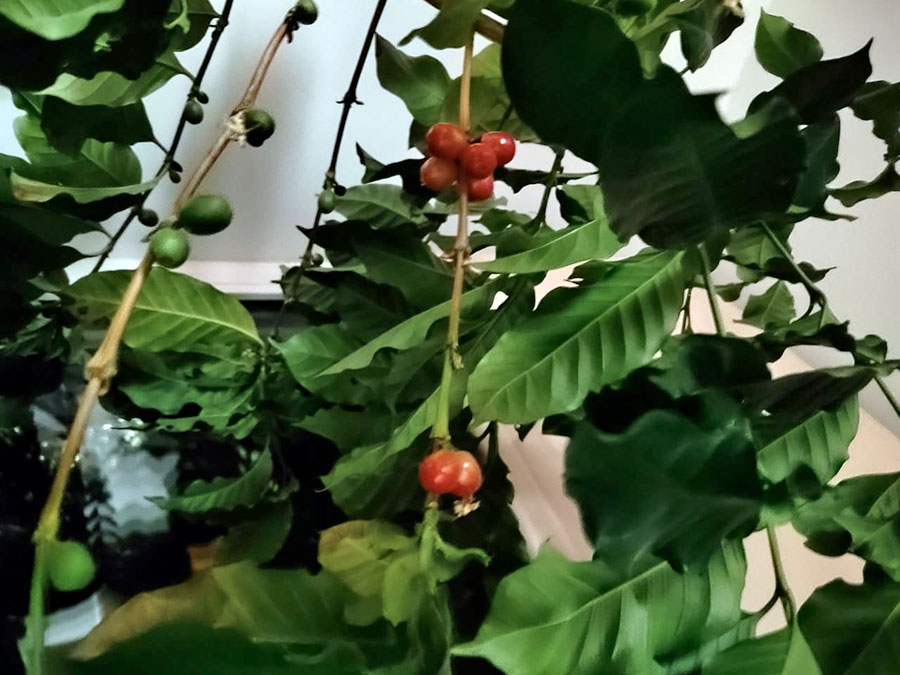 Африканцы прописались в орской квартире