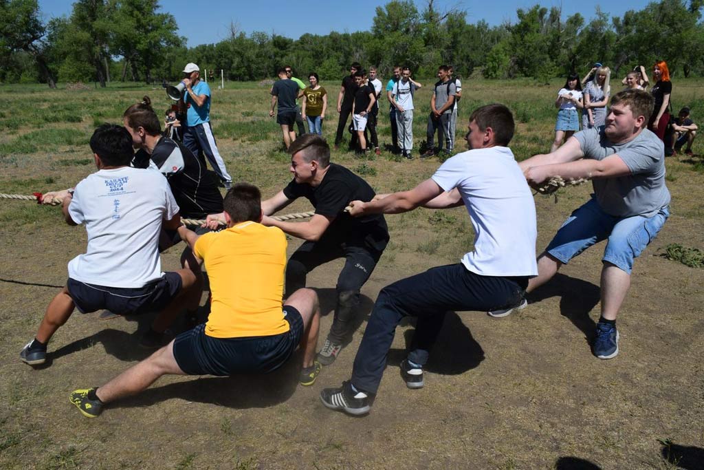 Получить профессию и реализовать себя