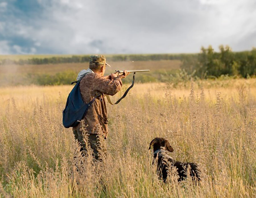 На дичь – после экзамена