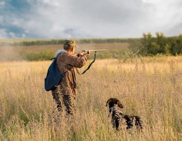 На дичь – после экзамена