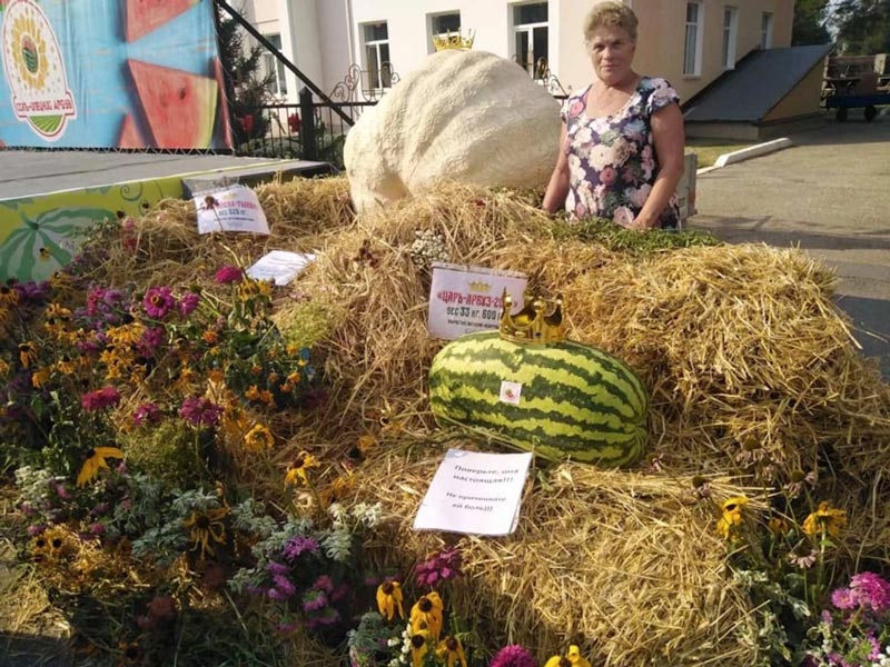 Самые сладкие и самые соленые воспоминания лета