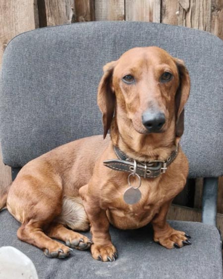 Две королевы