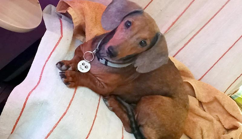 Две королевы