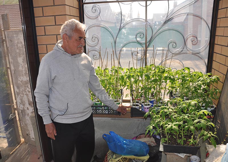 Яблоко от яблони. Как Шаукат Минлибаев мичуринцем стал