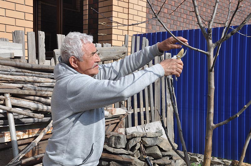 Яблоко от яблони. Как Шаукат Минлибаев мичуринцем стал