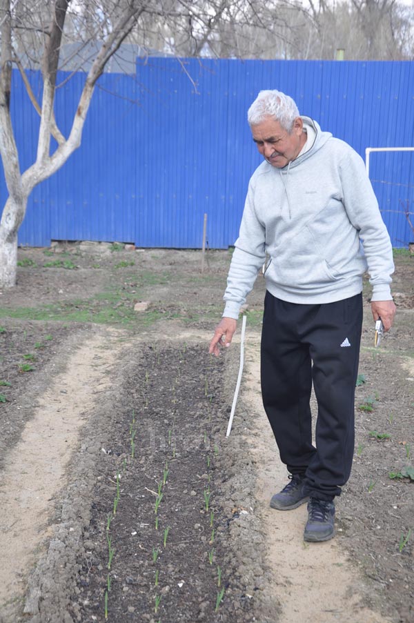 Яблоко от яблони. Как Шаукат Минлибаев мичуринцем стал