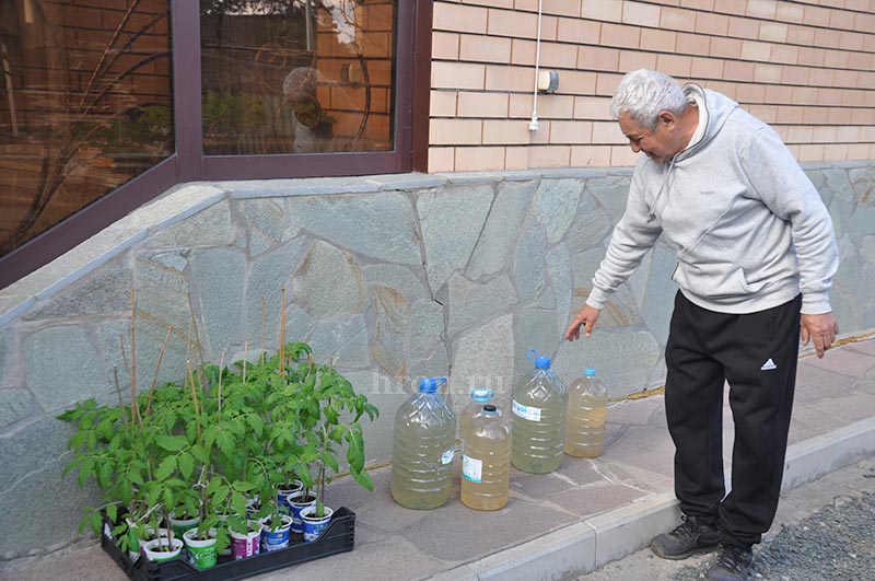 Яблоко от яблони. Как Шаукат Минлибаев мичуринцем стал
