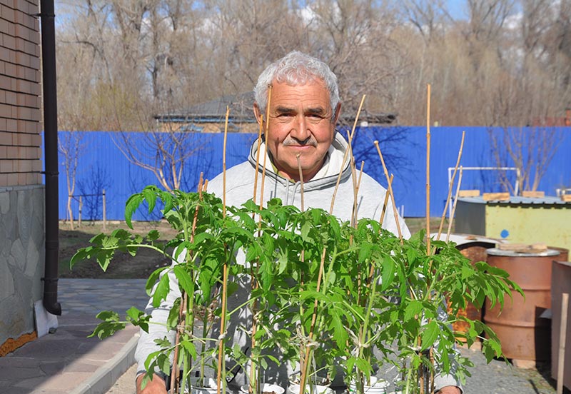 Яблоко от яблони. Как Шаукат Минлибаев мичуринцем стал