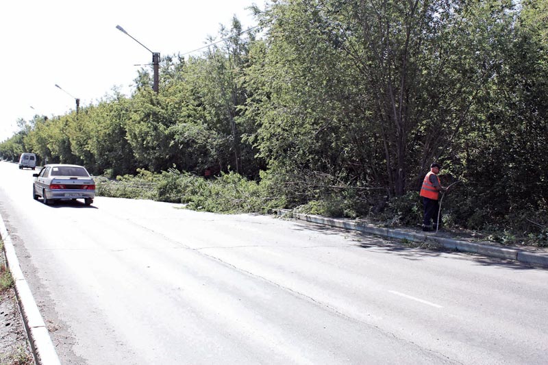 Помешали движению… ради безопасности движения 