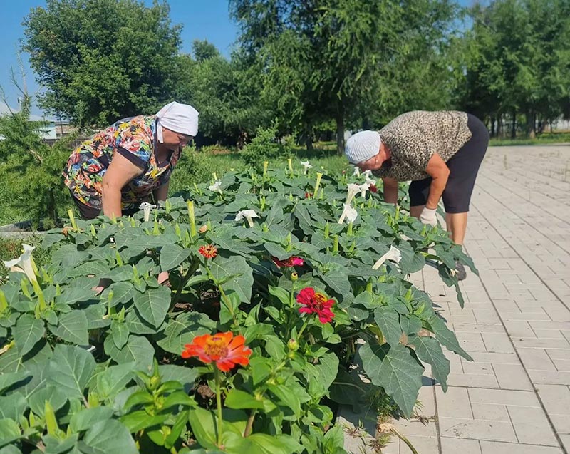 В Ударнике трудятся ударно