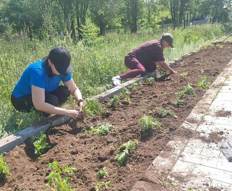 В Ударнике трудятся ударно