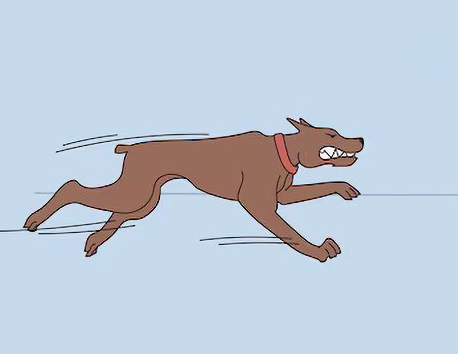 Собака автомобиль кусала