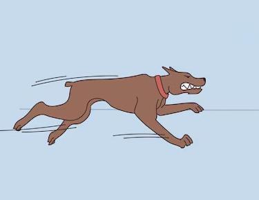 Собака автомобиль кусала