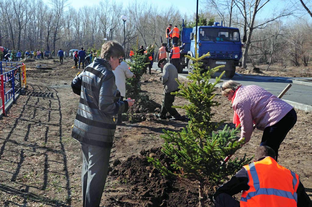 Аллея в голубом. В парке строителей высадят 300 елей