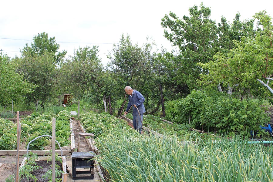 У орских огородов не тот статус