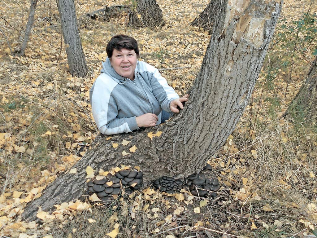 Фотоконкурс «Знай наших!». Вот она, мечта грибника!