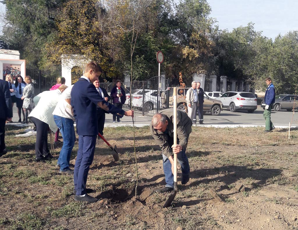 Рябины напомнят о важном дне