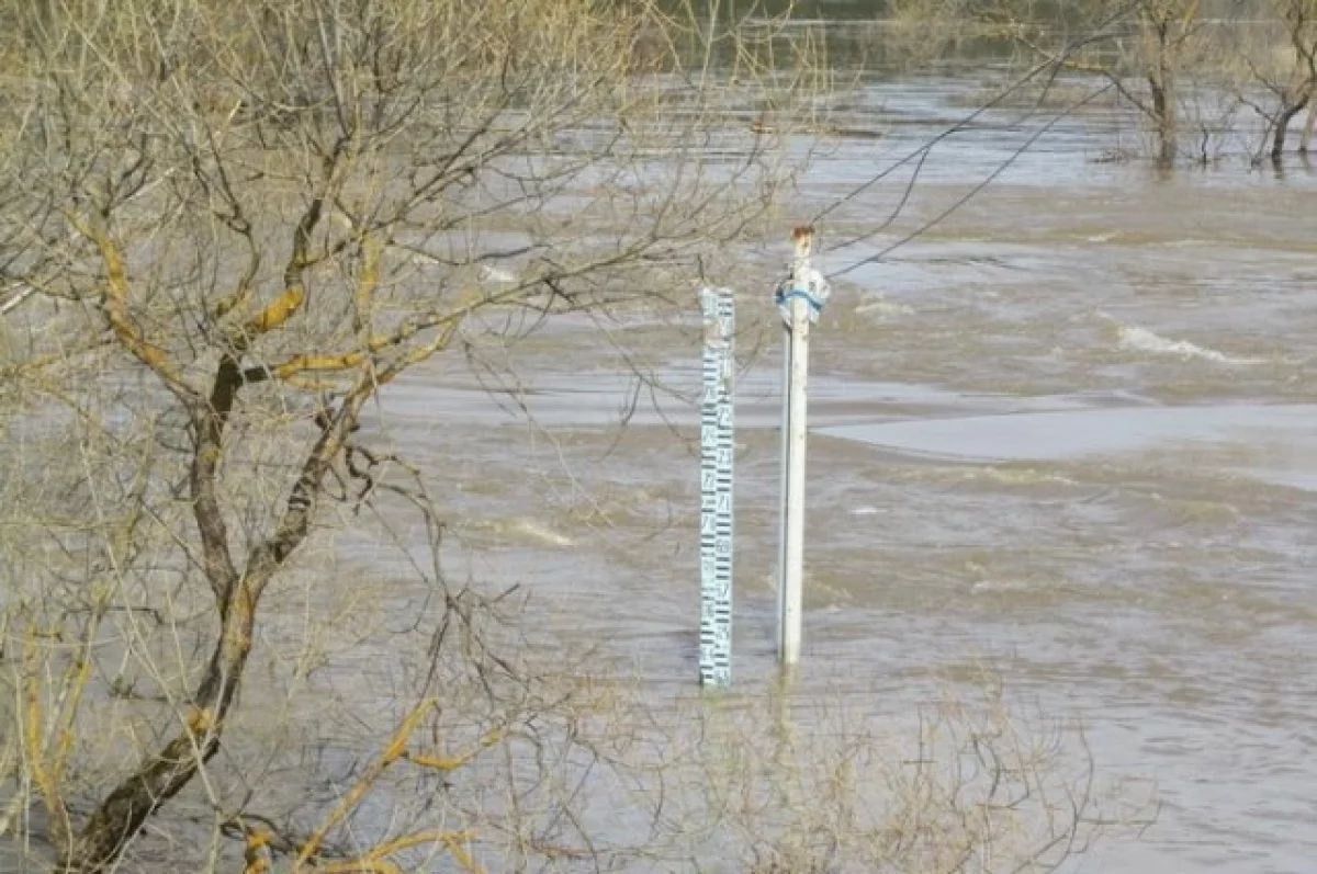 Уровень воды в реке Урал на 14 марта