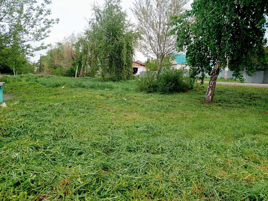 Вышли на борьбу с сорняками