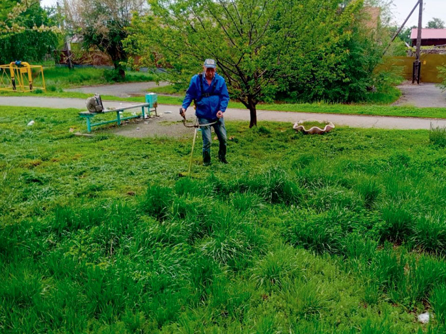 Вышли на борьбу с сорняками