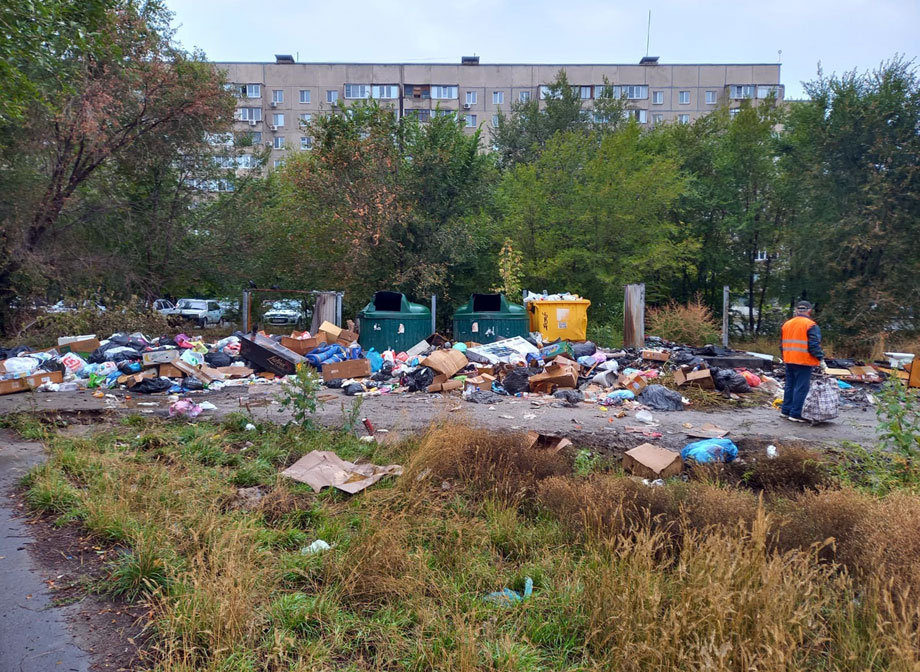 Мусорка возрождается из пепла 