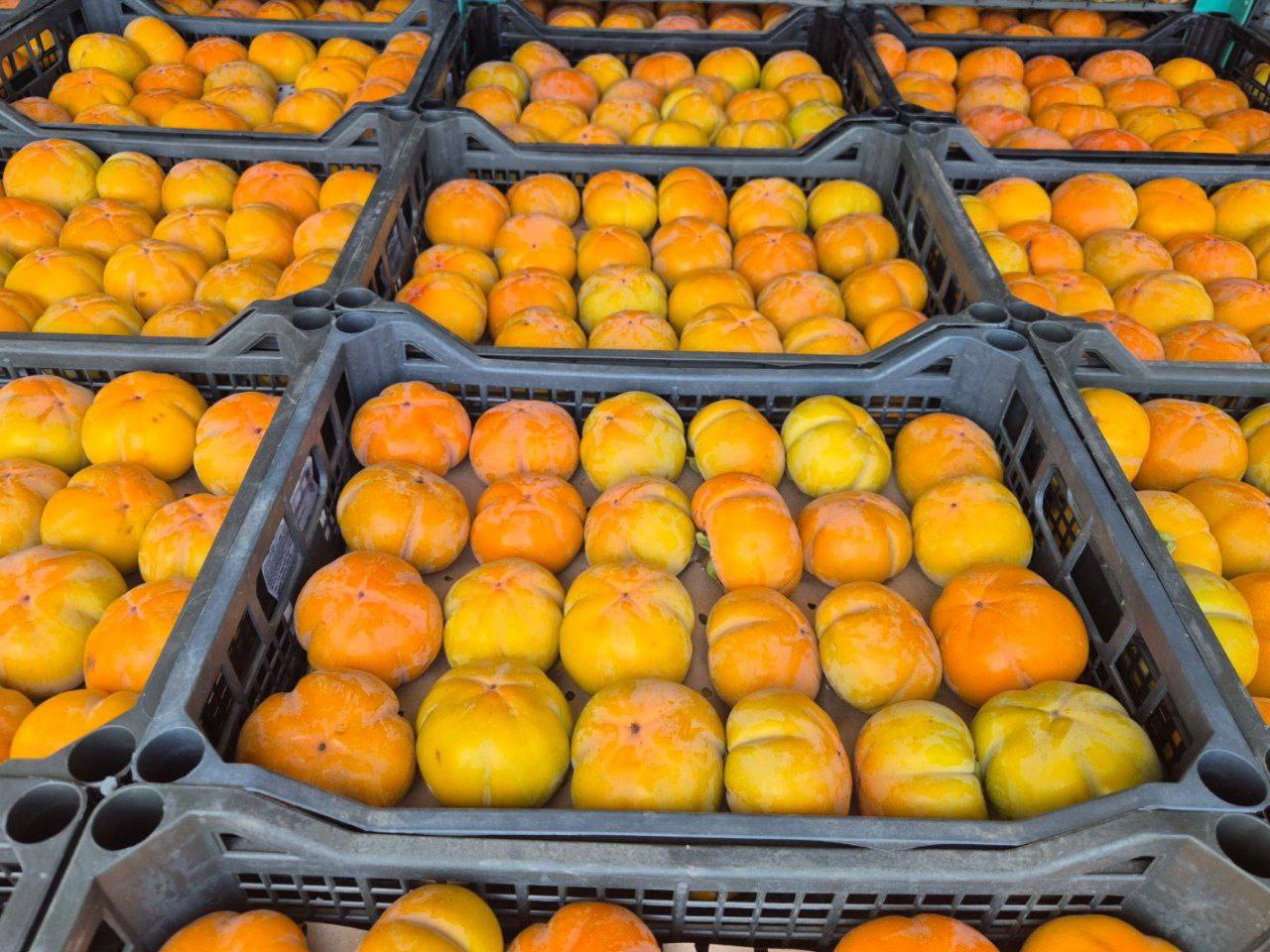 Партии узбекской хурмы заблокированы на границе из-за вредителя